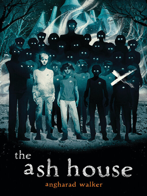 Title details for The Ash House by Angharad Walker - Wait list